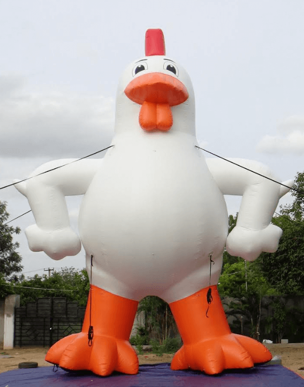 Chicken Pic