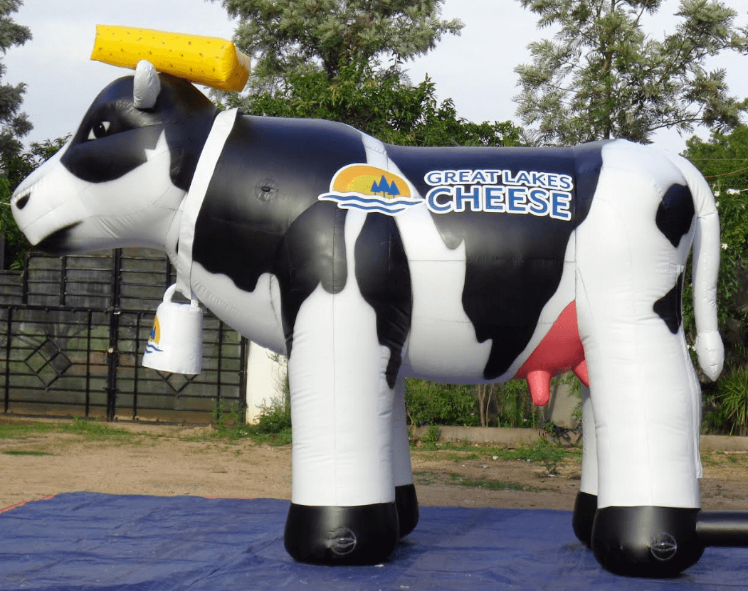 Custom Cow 1