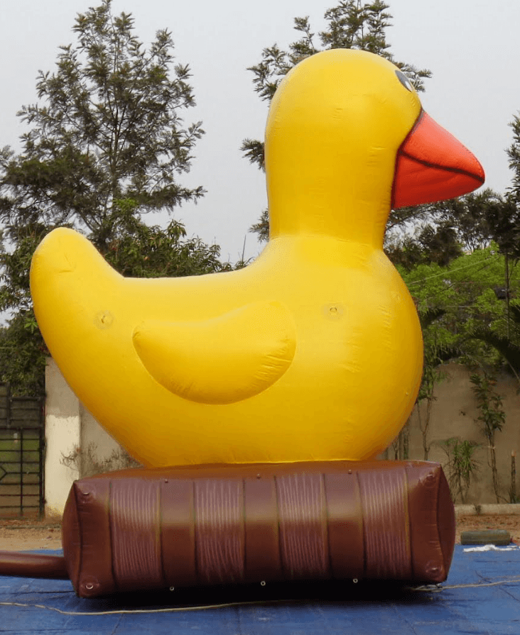 Custom Duck Trad 2