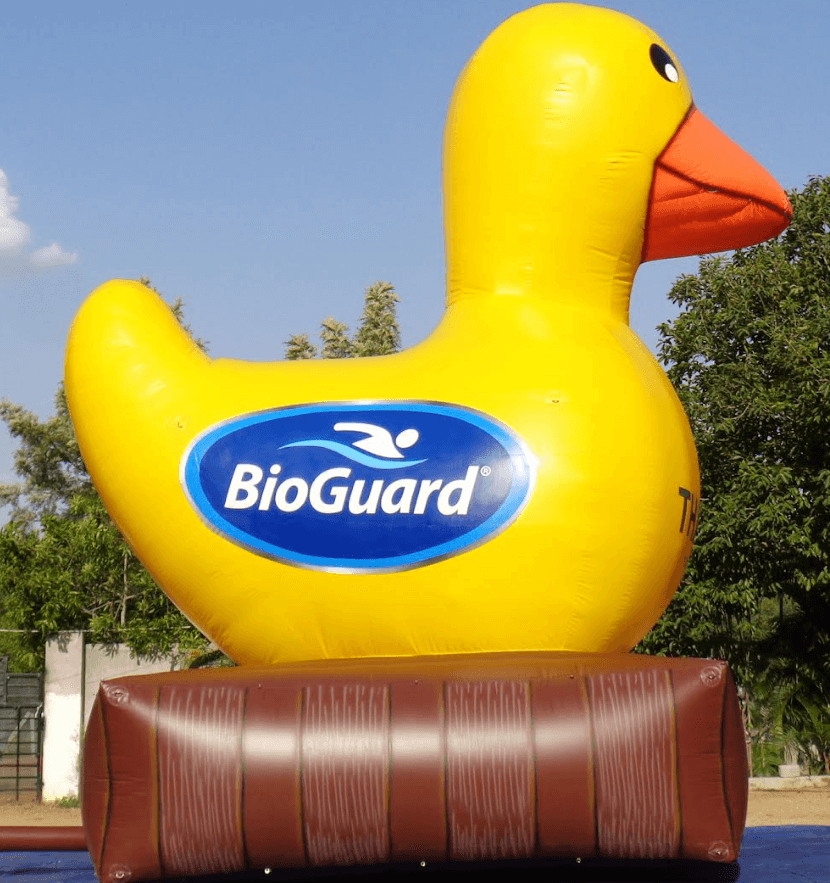 Custom Duck Trad 3