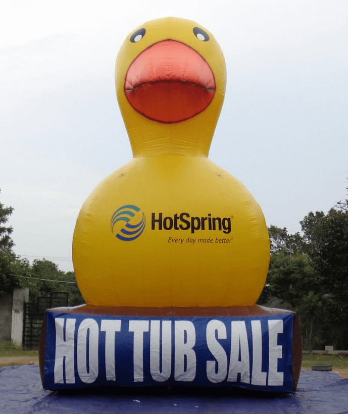 Hot Spring Duck