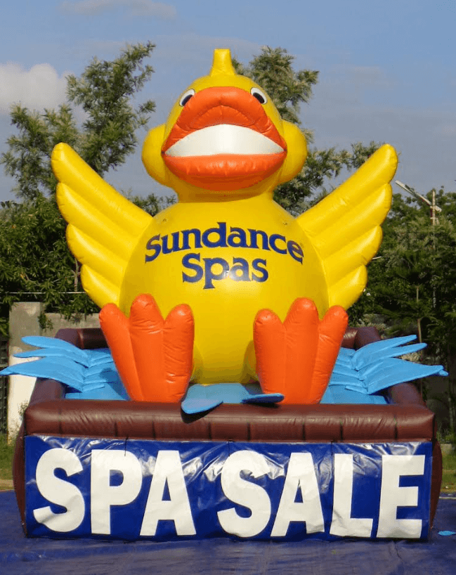 Sds Duck 1