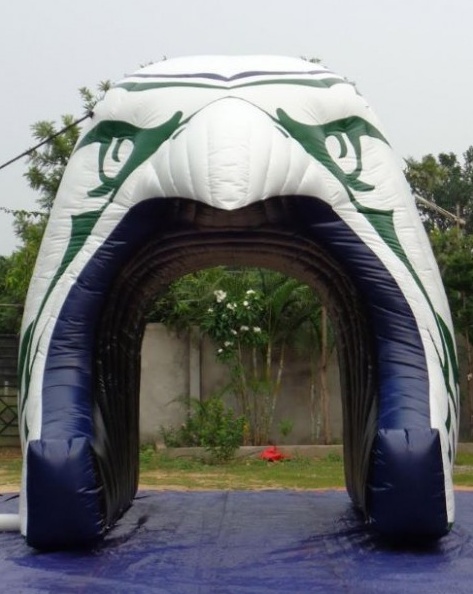 Green White Purple Football Tunnel